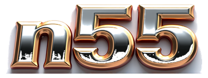 n55 game logo